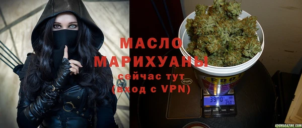 ешки Бородино