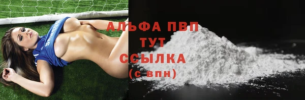 ешки Бородино