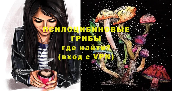 ешки Бородино