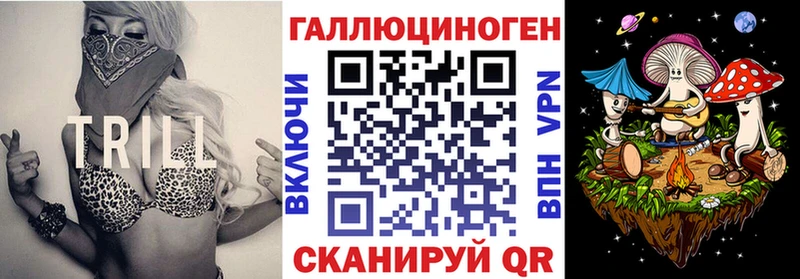 Купить закладки Кувшиново Псилоцибиновые грибы MAGIC MUSHROOMS